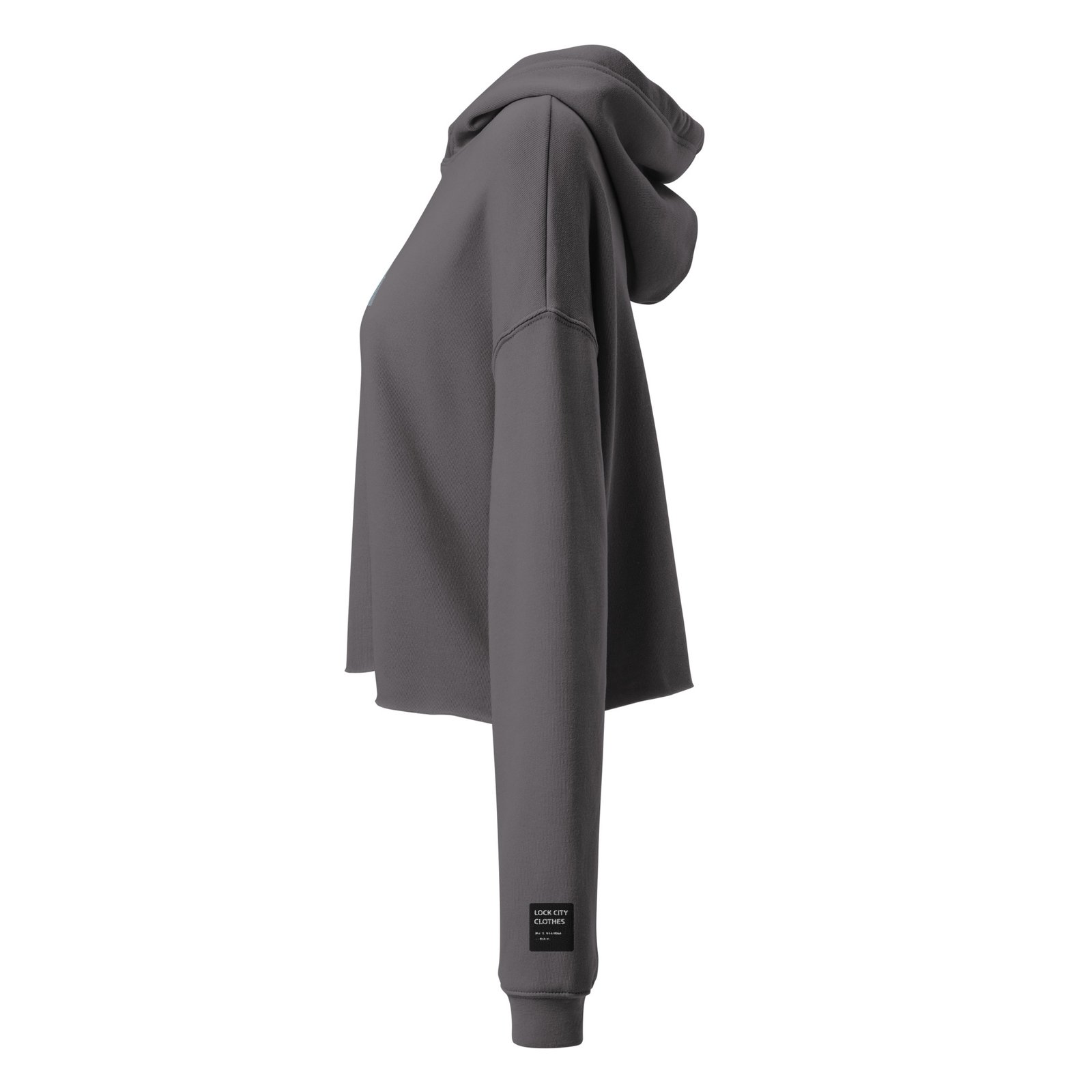 LCC Crop Hoodie - Image 11