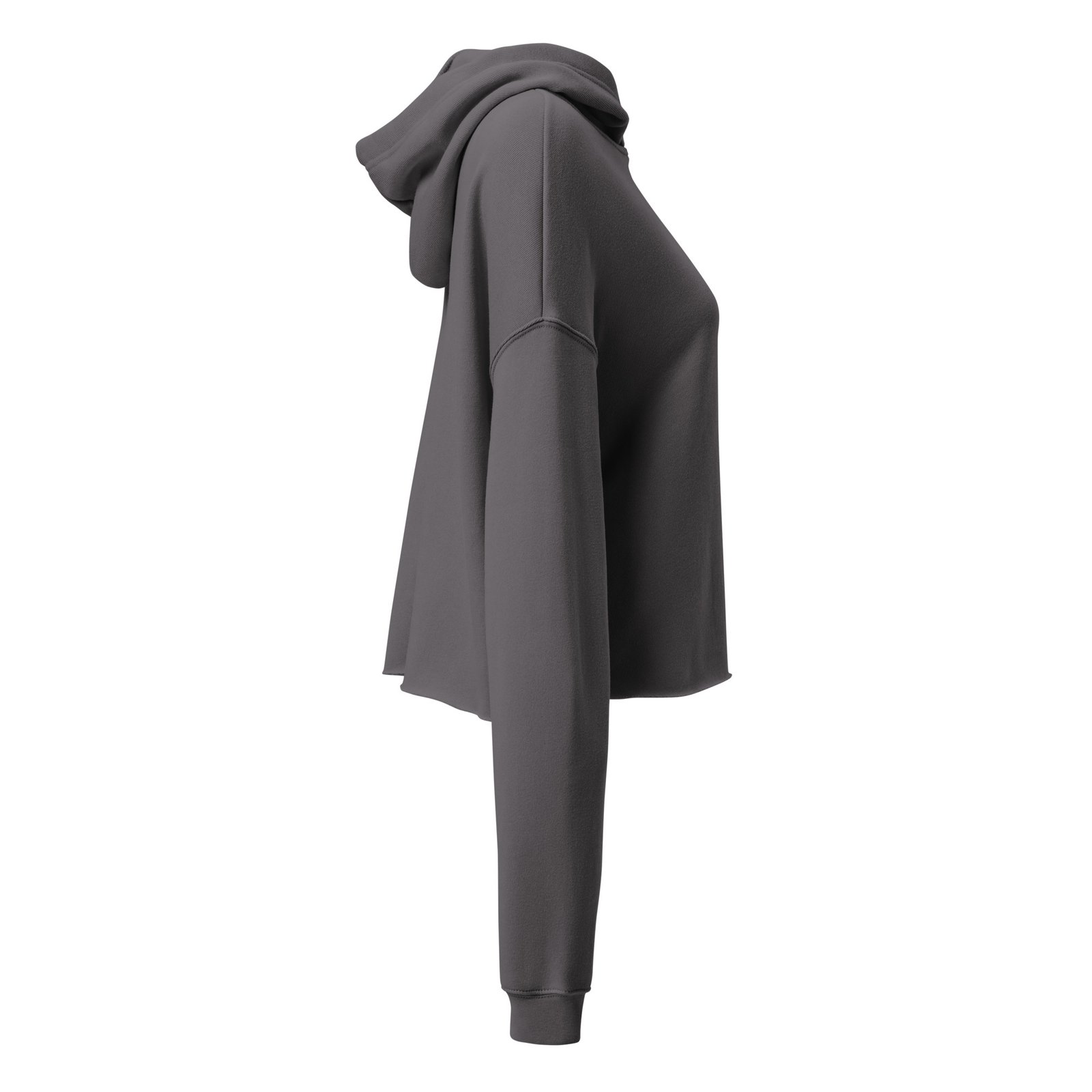 LCC Crop Hoodie - Image 12